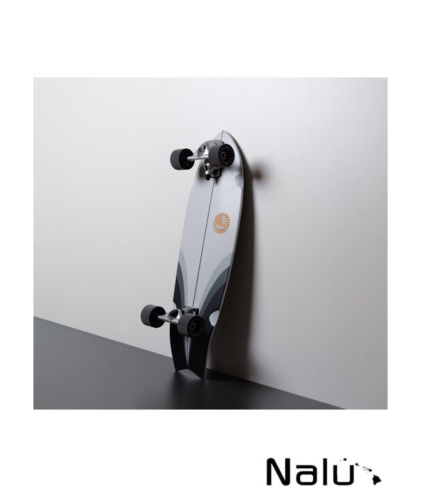 Slide Slide 32" Fish Tech Tonic