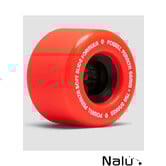 Powell Peralta 66mm SSF Snakes #02 75A