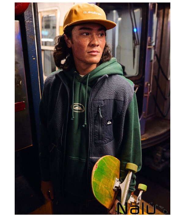 Quiksilver Quiksilver Salt Water Graphic Hoodie Trekking Green