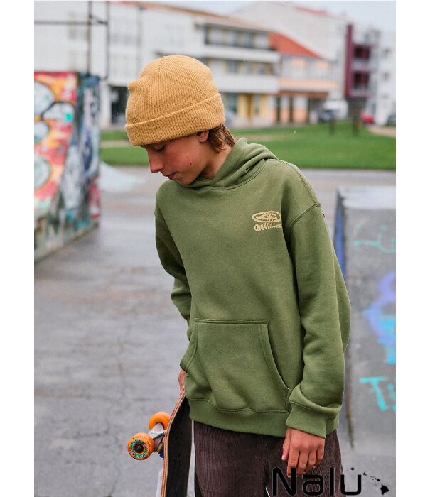 Quiksilver Quiksilver Salt Water Graphic Hood Loden Green