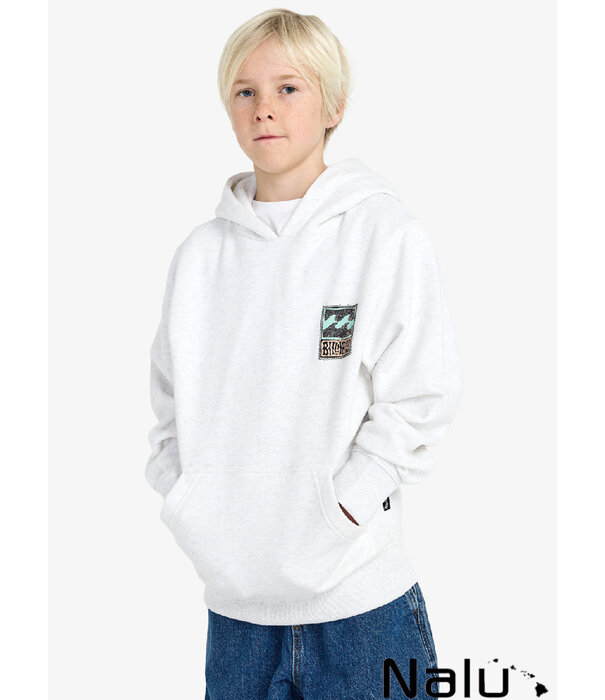 Billabong Billabong Foundation Po Hoody Grey