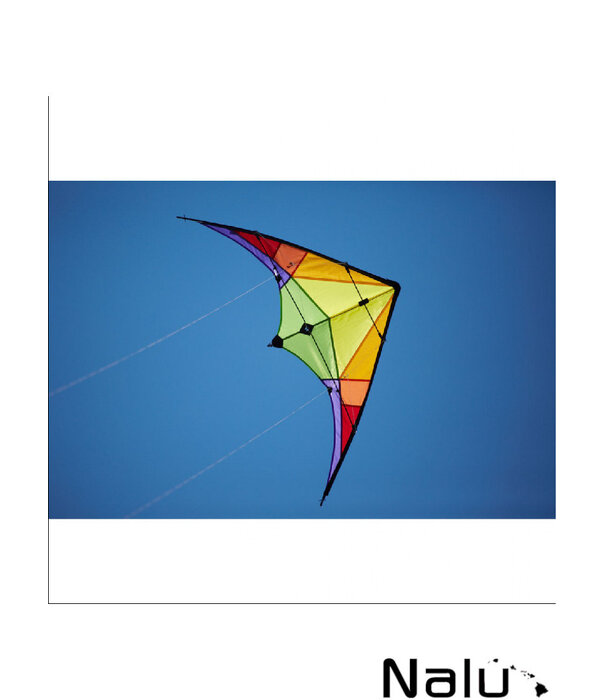 HQ Rookie Rainbow 2 Lijns Stuntvlieger