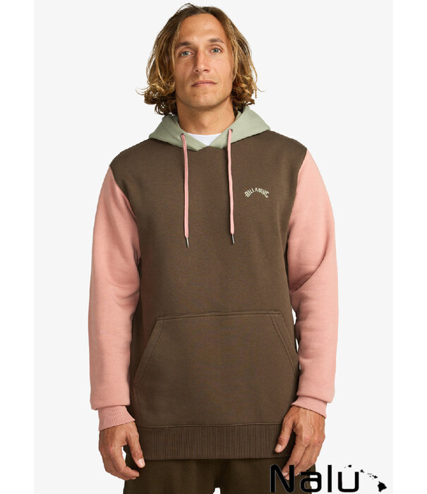 Billabong Billabong Arch Block Po Hoodie Dark Cedar