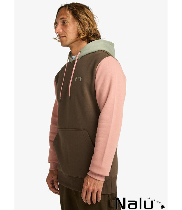Billabong Billabong Arch Block Po Hoodie Dark Cedar