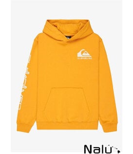 Quiksilver Omni Logo Hoodie Mineral Yellow
