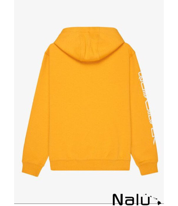 Quiksilver Quiksilver Omni Logo Hoodie Mineral Yellow