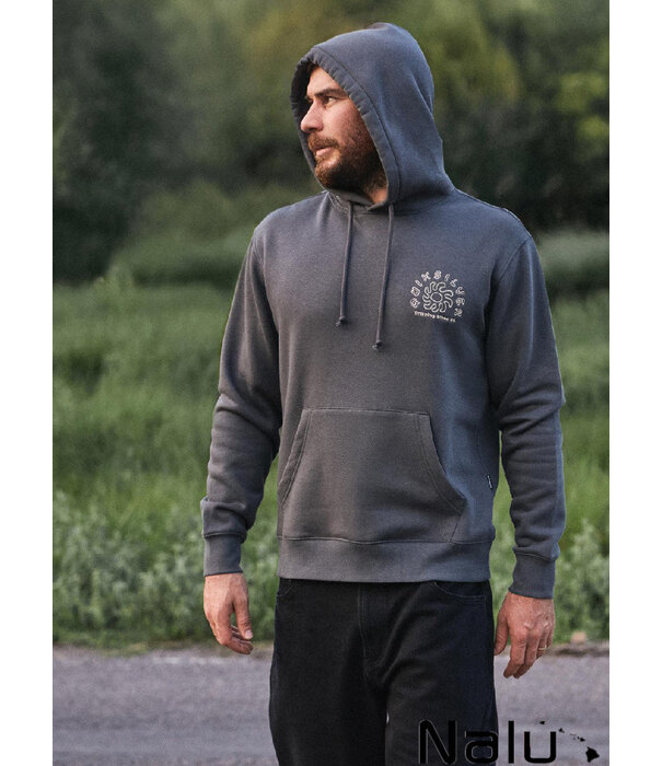 Quiksilver Quiksilver Salt Water Graphic Hoodie Iron Gate