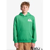 Quiksilver Omni Logo Hoodie Leprechaun