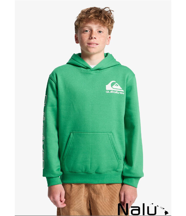 Quiksilver Quiksilver Omni Logo Hoodie Leprechaun
