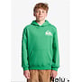 Quiksilver Omni Logo Hoodie Leprechaun
