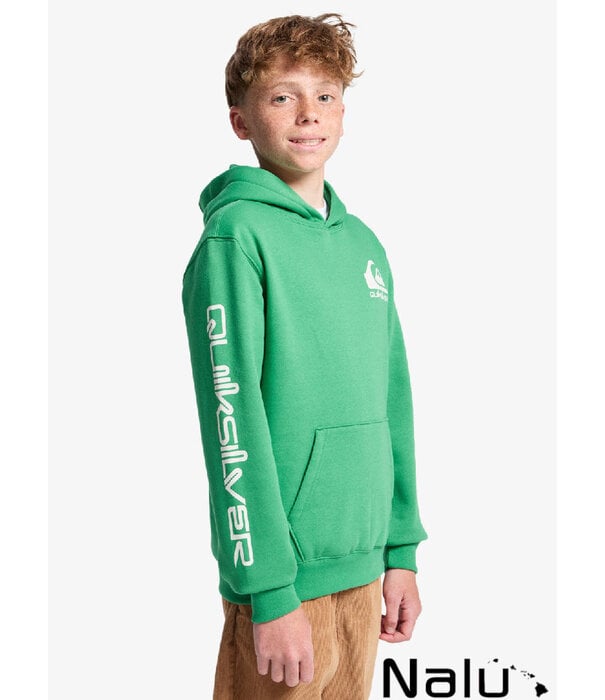Quiksilver Quiksilver Omni Logo Hoodie Leprechaun