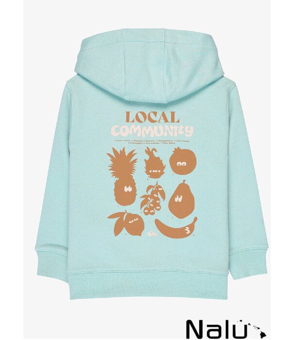 Quiksilver Quiksilver Graphic Hoodie Blue Haze