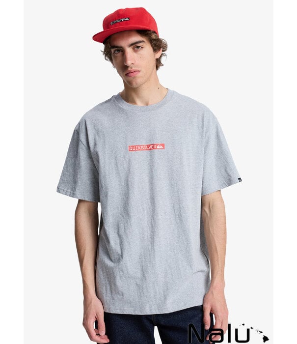 Quiksilver Quiksilver Dna Clicker T-shirt Light Grey Heather