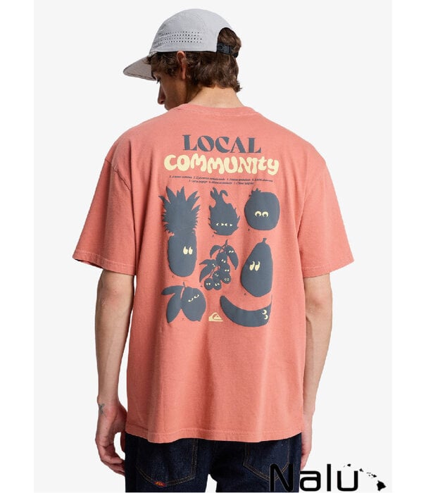 Quiksilver Quiksilver Fruits Tide T-shirt Desert Sand