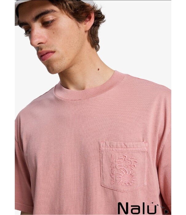 Quiksilver Quiksilver Oxni Washed T-shirt Desert Sand