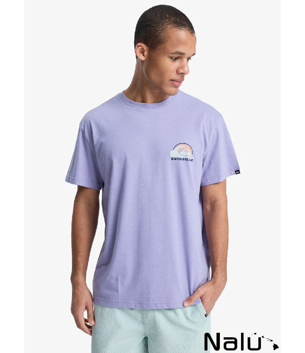 Quiksilver Quiksilver Hellbender T-shirt Daybreak