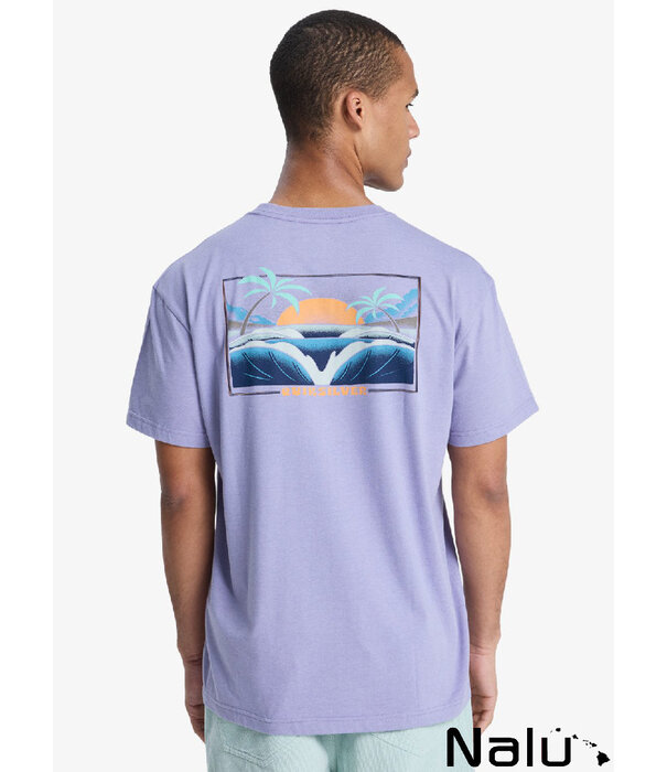 Quiksilver Quiksilver Hellbender T-shirt Daybreak