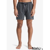 Quiksilver Everyday Surfwash Volley 15" Black