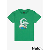 Quiksilver Ev Human Wave T-shirt Leprechaun