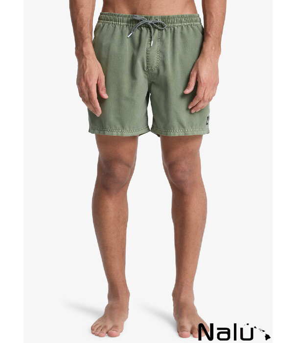 Quiksilver Quiksilver Everyday Surfwash Volley 15" Grape Leaf