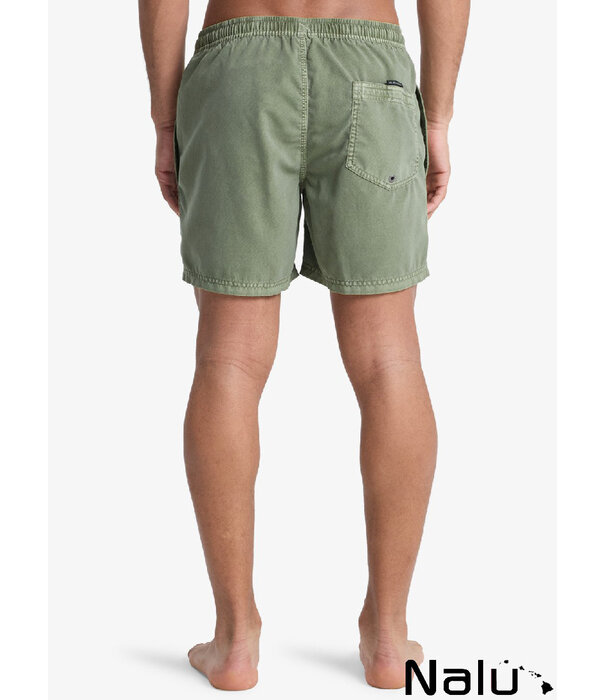 Quiksilver Quiksilver Everyday Surfwash Volley 15" Grape Leaf