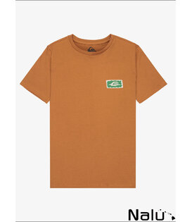 Quiksilver Serenity Splash Tobacco Brown Kids Tee