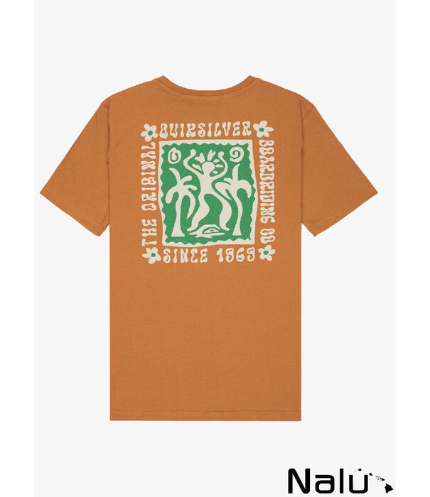 Quiksilver Quiksilver Serenity Splash Tobacco Brown Kids Tee