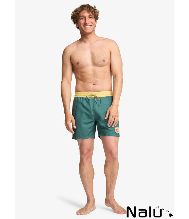 Billabong Billabong Dbah Panel Layback Sea Green