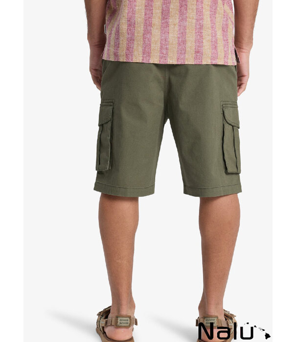 Quiksilver Quiksilver Cargo Green