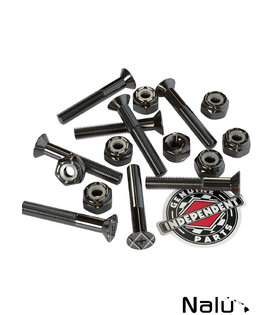 Independent 1" Mounting-Kits Philips