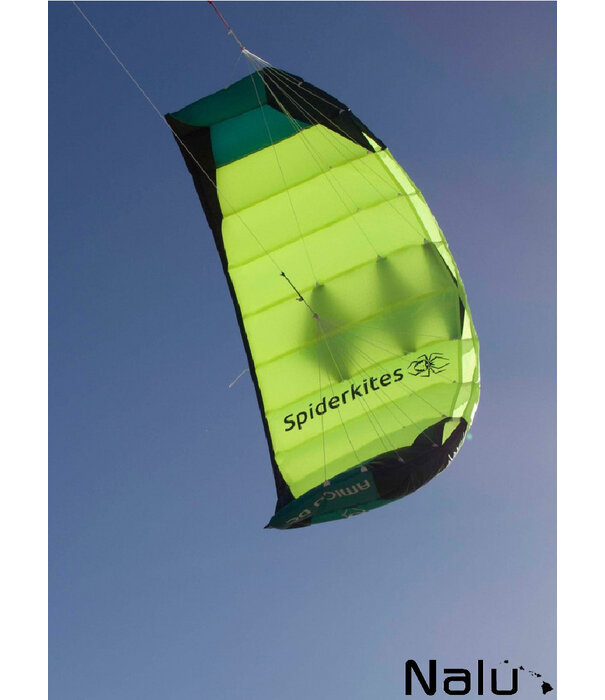 Spiderkites Spiderkites Amigo DC 1.35 + Bar, Compleet Kitesurf Trainer