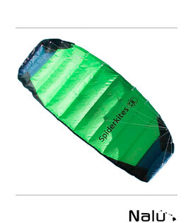 Spiderkites Amigo DC 1.75 + Bar, Compleet Kitesurf Trainer