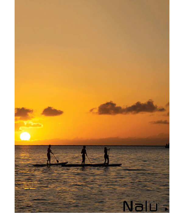 Ocean & Earth Ocean & Earth Watersport Bum Bag