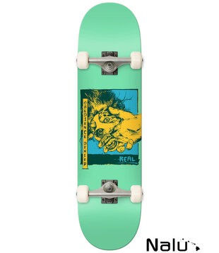 Real 8.25 Obedience Complete Skateboard