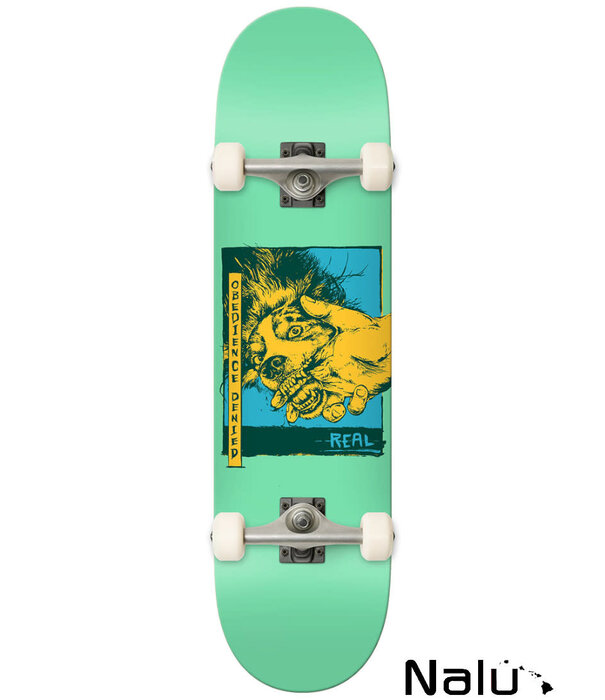 Real Skateboard Real 8.25 Obedience Complete Skateboard