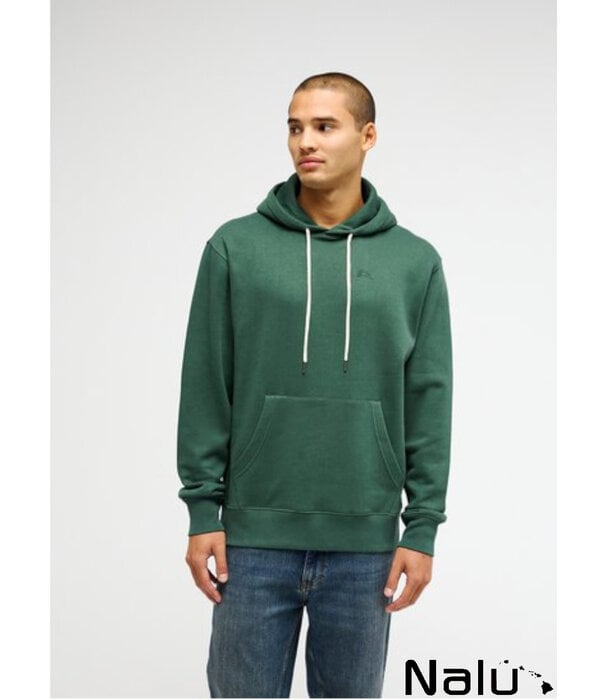 Quiksilver Quiksilver Salt Water Hoodie Green