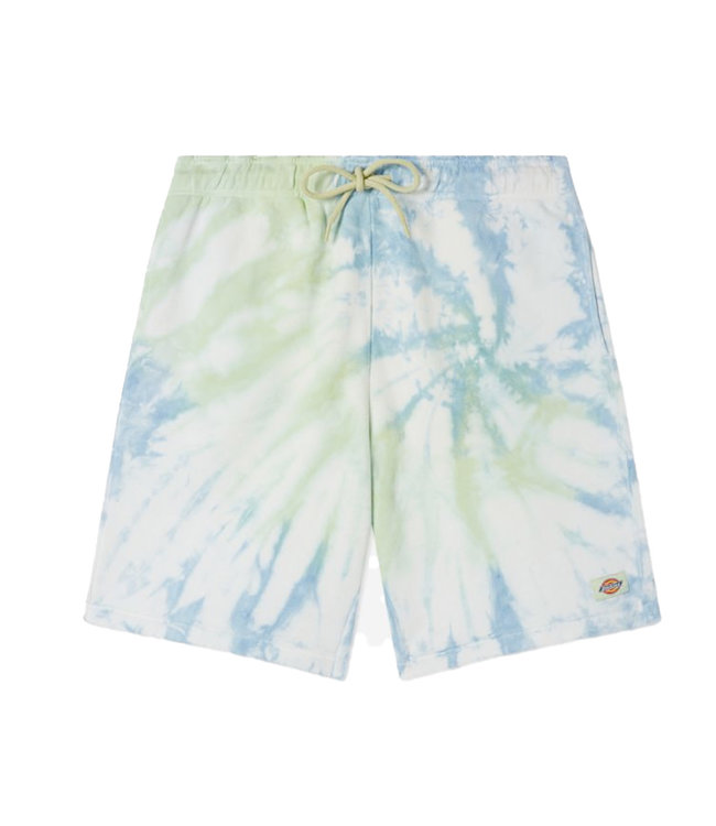SKATESHOP.BE l DICKIES - Seatac Short W 