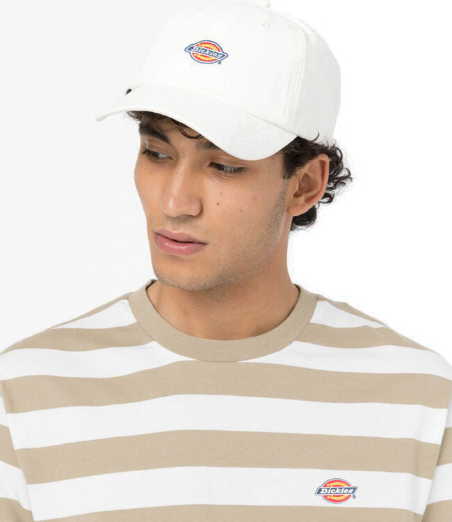 DICKIES Hardwick - Cloud