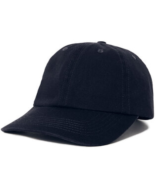 POLAR Polar Skate Co. Cap - Navy