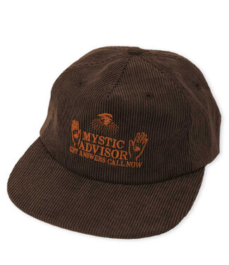 THEORIES Mystic Advisor Strapback Corduroy Brown