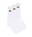 DICKIES Valley Grove Socks - White