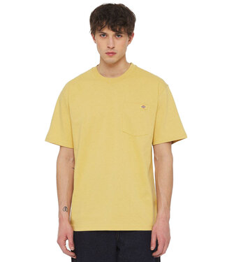 DICKIES Luray Pocket T-Shirt - Fall Leaf