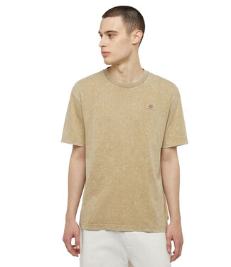 DICKIES Newington T-Shirt - Sandstone