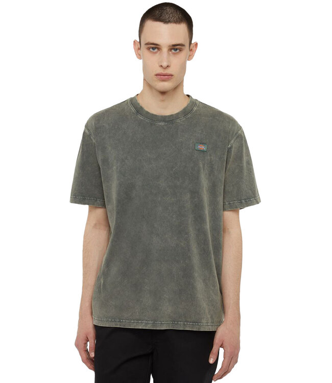 DICKIES Newington T-Shirt - Green