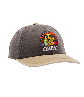 OBEY Pigment Fruits 6 Panel Cap - Pigment Black Multi