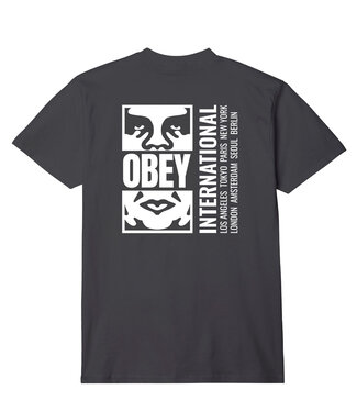OBEY Obey Icon Split T-Shirt - Black