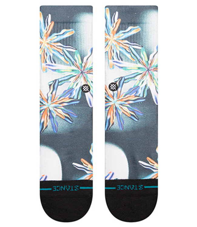 STANCE Coyoacan Crew - Multi