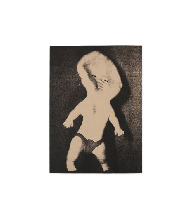 POLAR Everything Is Normal Book