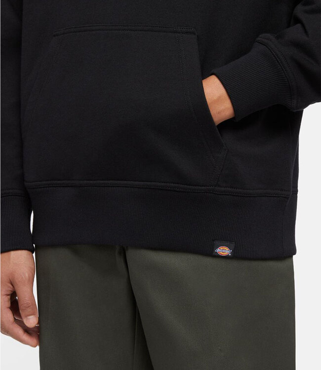 DICKIES Globe Hoodie - Black