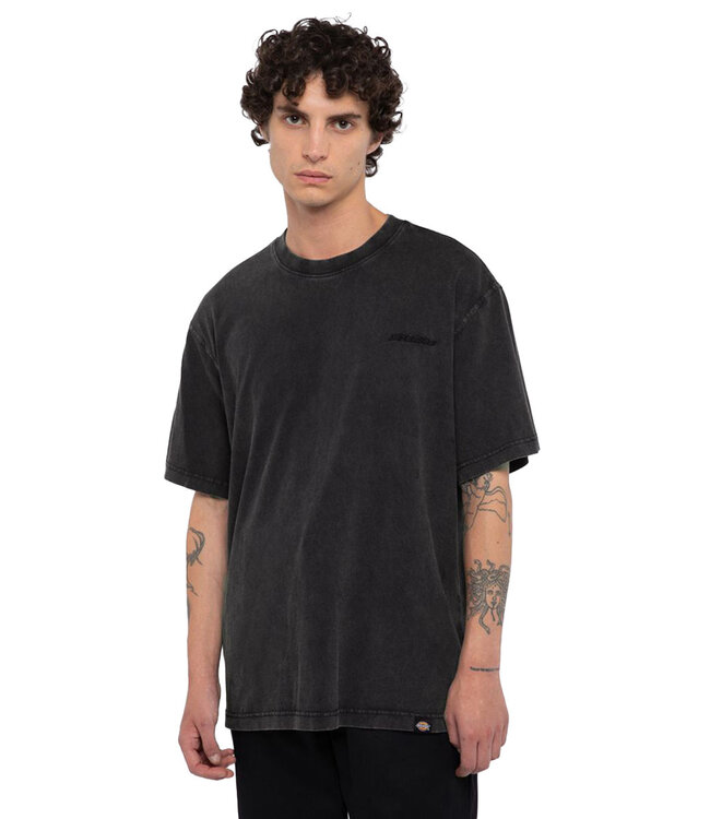 DICKIES Plentywood Ss Tee - Dble Dye/Acd Black